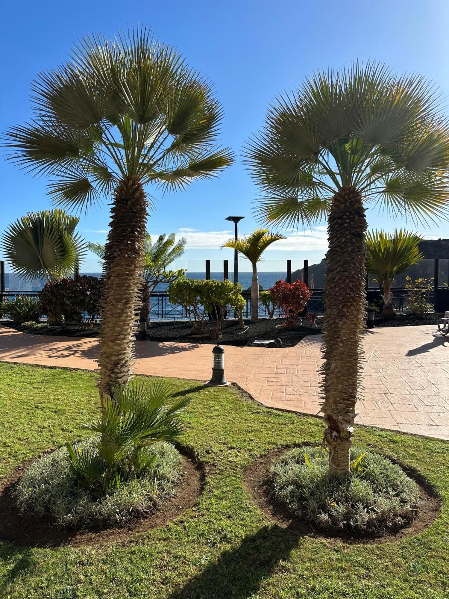 El Nautico Coral Suites 圣米格尔德阿沃纳 外观 照片